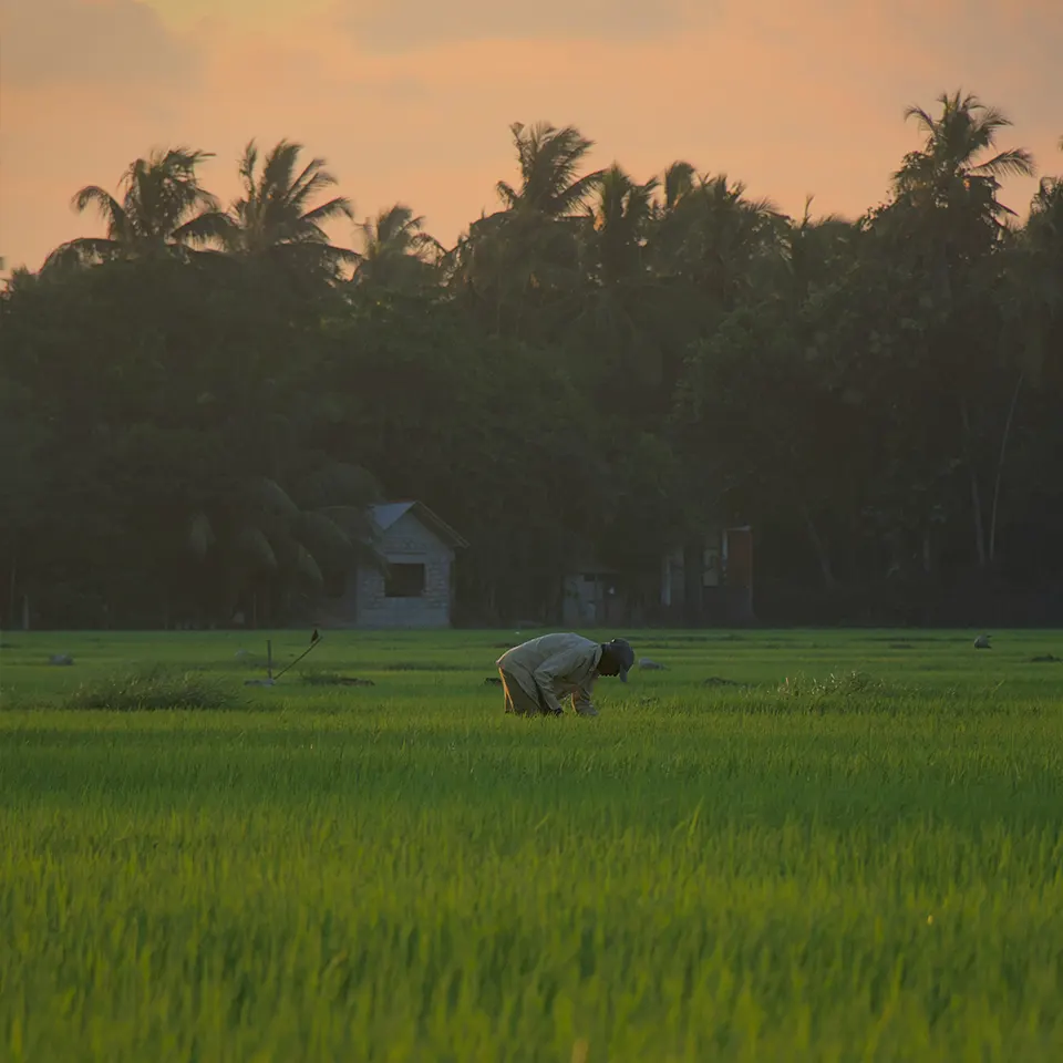 Inside Bali’s Quietest Stay
