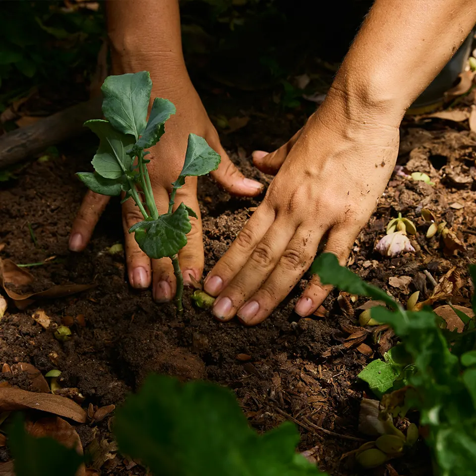 How Terra Sayan Grows Its Own Food and Rituals