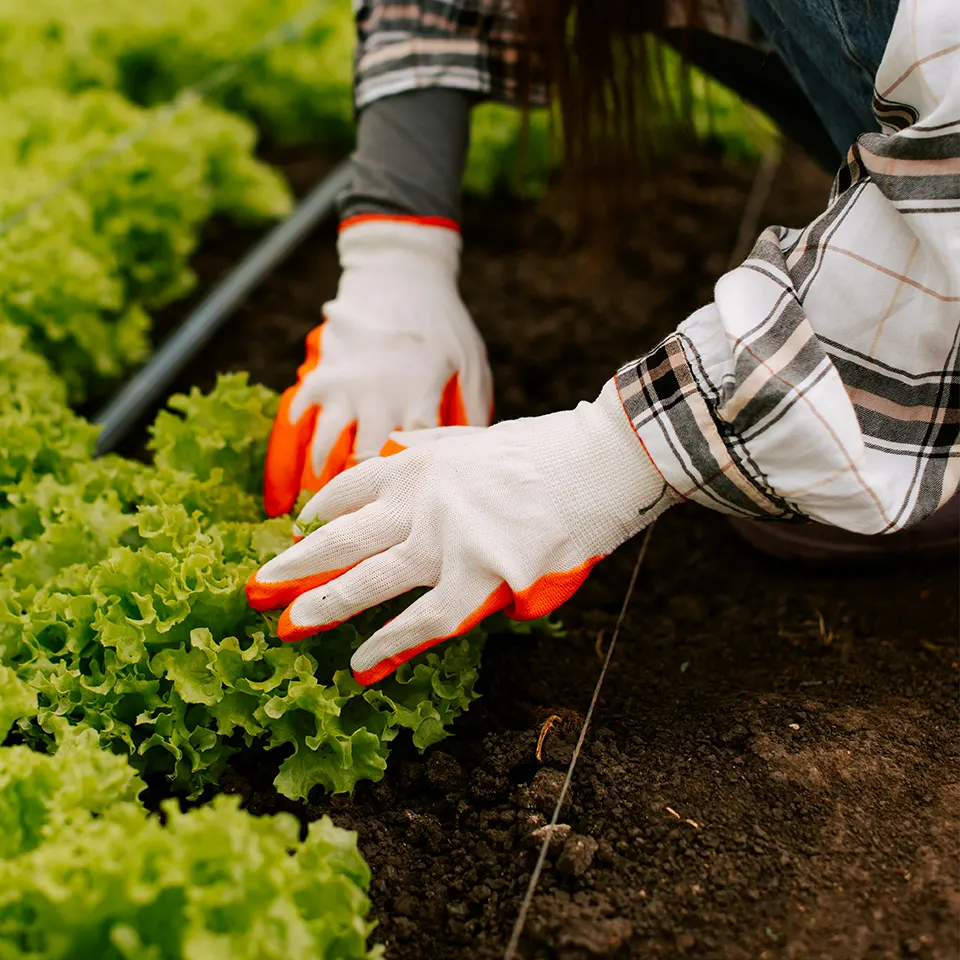 How Terra Sayan Grows Its Own Food and Rituals